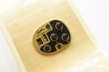 Performer CW Mini Jumbo HG QIT